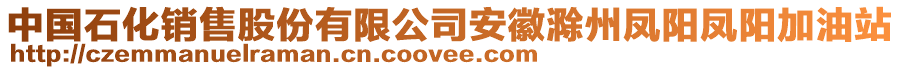 中國石化銷售股份有限公司安徽滁州鳳陽鳳陽加油站