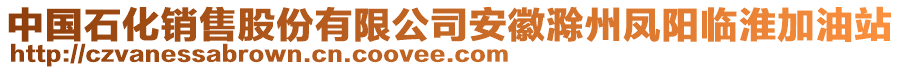 中國石化銷售股份有限公司安徽滁州鳳陽臨淮加油站