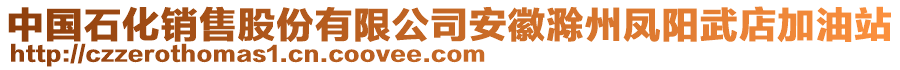 中國石化銷售股份有限公司安徽滁州鳳陽武店加油站