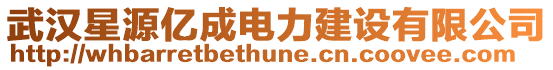 武漢星源億成電力建設有限公司