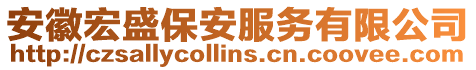 安徽宏盛保安服務有限公司