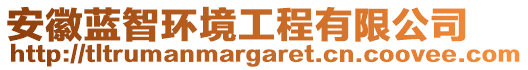 安徽藍(lán)智環(huán)境工程有限公司