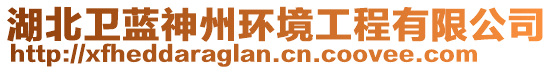 湖北衛藍神州環境工程有限公司