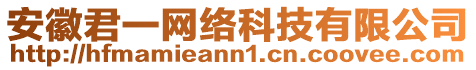 安徽君一網(wǎng)絡(luò)科技有限公司