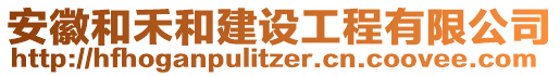 安徽和禾和建設(shè)工程有限公司