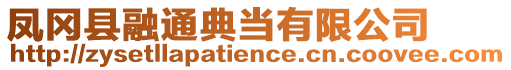 鳳岡縣融通典當有限公司
