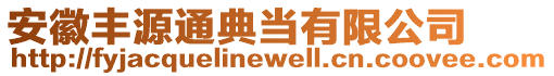 安徽豐源通典當有限公司
