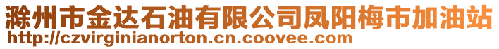 滁州市金達(dá)石油有限公司鳳陽梅市加油站