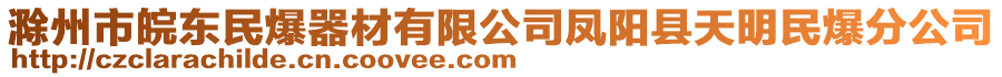 滁州市皖東民爆器材有限公司鳳陽縣天明民爆分公司