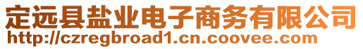 定遠縣鹽業(yè)電子商務有限公司