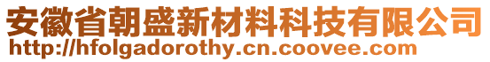 安徽省朝盛新材料科技有限公司