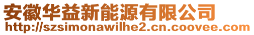 安徽華益新能源有限公司