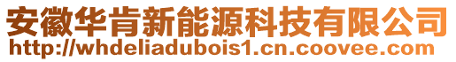 安徽華肯新能源科技有限公司