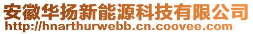 安徽華揚新能源科技有限公司