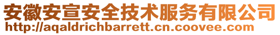 安徽安宣安全技術(shù)服務(wù)有限公司