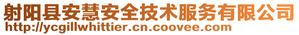 射陽縣安慧安全技術服務有限公司