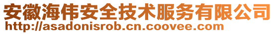 安徽海偉安全技術服務有限公司