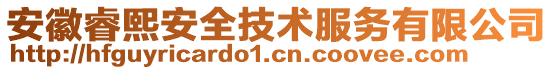 安徽睿熙安全技術服務有限公司