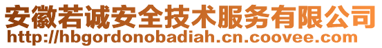 安徽若誠安全技術(shù)服務有限公司