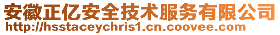 安徽正億安全技術服務有限公司