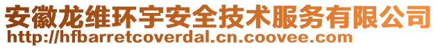安徽龍維環宇安全技術服務有限公司