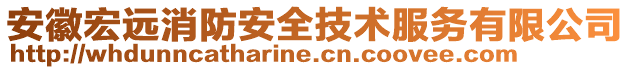 安徽宏遠消防安全技術服務有限公司