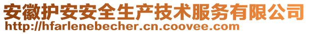 安徽護安安全生產(chǎn)技術服務有限公司