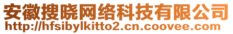 安徽搜曉網(wǎng)絡(luò)科技有限公司