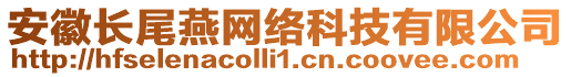 安徽長(zhǎng)尾燕網(wǎng)絡(luò)科技有限公司