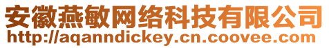 安徽燕敏網絡科技有限公司