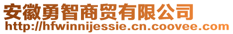 安徽勇智商貿有限公司