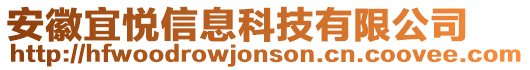 安徽宜悅信息科技有限公司