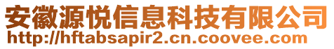 安徽源悅信息科技有限公司