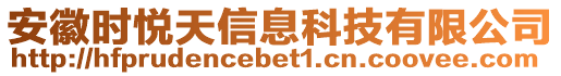 安徽時悅天信息科技有限公司