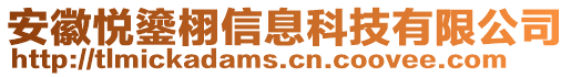 安徽悅鎏栩信息科技有限公司