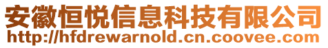安徽恒悅信息科技有限公司