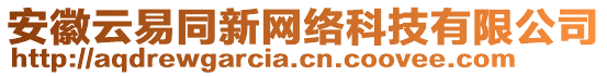 安徽云易同新網(wǎng)絡科技有限公司