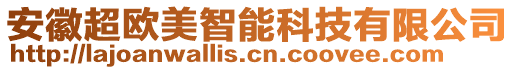 安徽超歐美智能科技有限公司