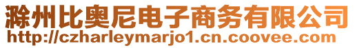 滁州比奧尼電子商務(wù)有限公司