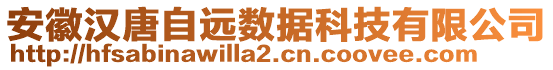 安徽漢唐自遠(yuǎn)數(shù)據(jù)科技有限公司