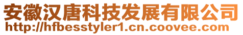 安徽漢唐科技發(fā)展有限公司