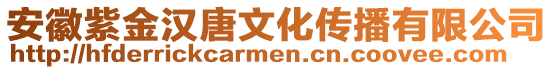 安徽紫金漢唐文化傳播有限公司