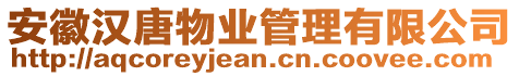 安徽漢唐物業(yè)管理有限公司