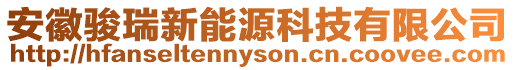安徽駿瑞新能源科技有限公司