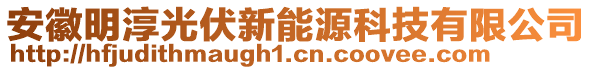 安徽明淳光伏新能源科技有限公司