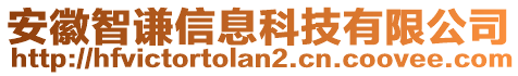 安徽智謙信息科技有限公司
