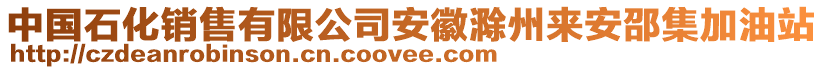 中國(guó)石化銷售有限公司安徽滁州來(lái)安邵集加油站