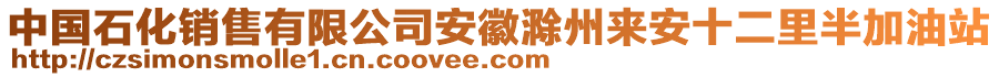 中國石化銷售有限公司安徽滁州來安十二里半加油站