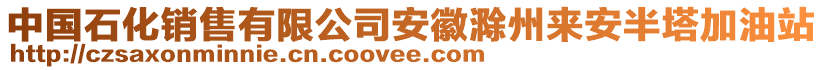 中國石化銷售有限公司安徽滁州來安半塔加油站