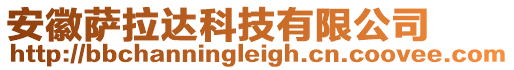 安徽薩拉達科技有限公司